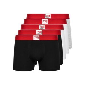 Mike Tyson Mens Boxer Shorts (Pack of 5) / Multicolored